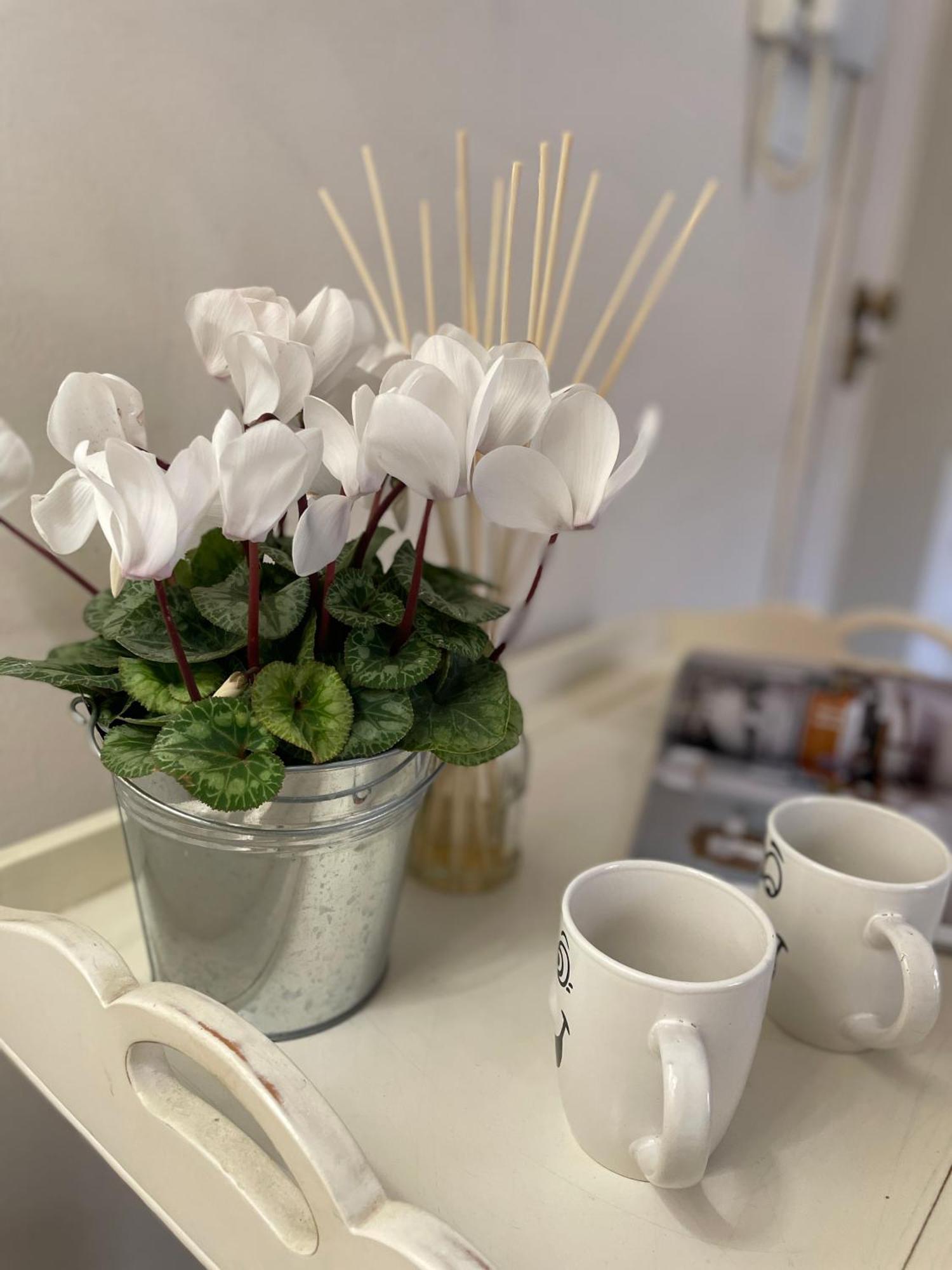 Charming Studio Next To The Duomo 佛罗伦萨 外观 照片